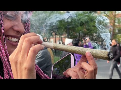 В Нью-Йорке любители марихуаны отмечают 4/20