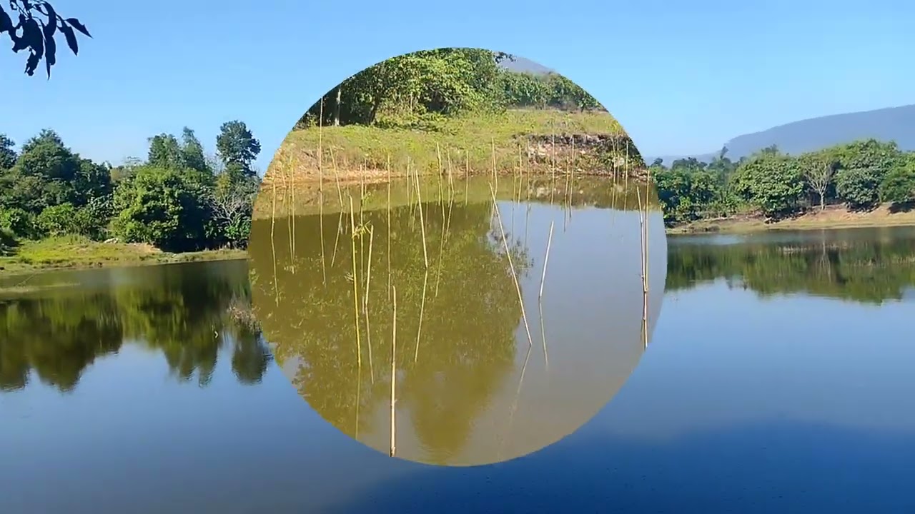 PUNG BAH DON(SHELLA, BELTOLI)