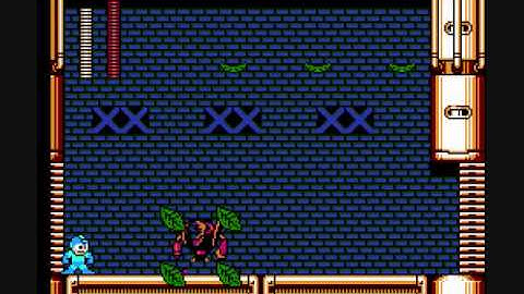 Mega Man 3 - Doc Robot (Shadow Man Revisited) Perfect Run