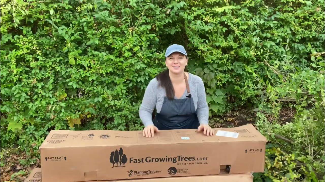 🍂Woodland Garden Update American Pillar Arborvitae Removing Hedge 🍂