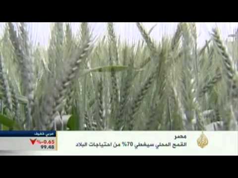 اقتصاد هذا الصباح 28/4/2013