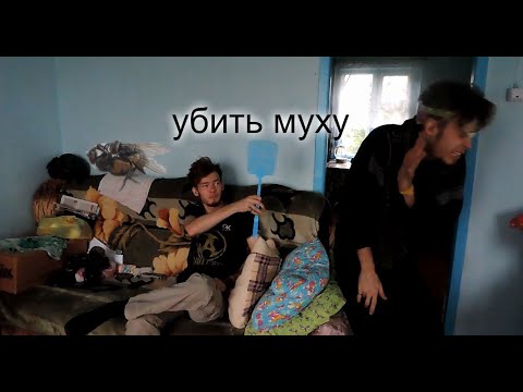 убей муху (слабослышащих и глухих) - YouTube