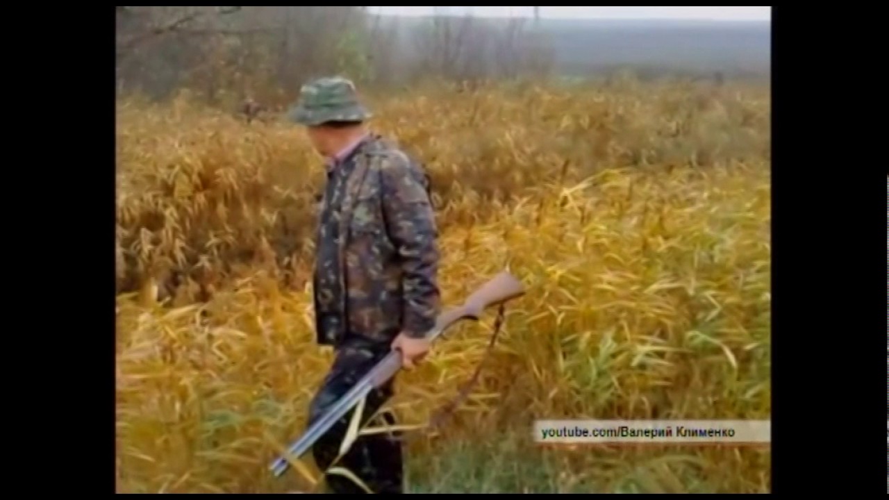 Уже через три недели откроется охотничий сезон на птицу Где и как ...