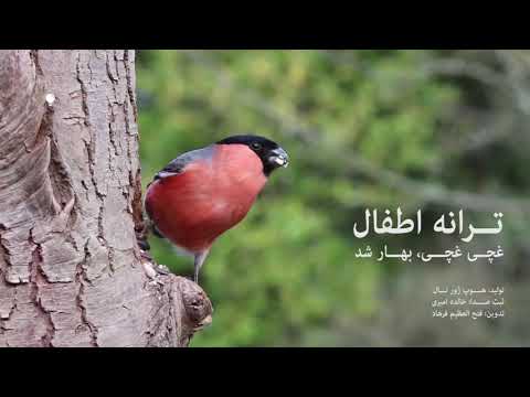 ترانه های اطفال غچی غچی بهار شد وقت گل انار شد