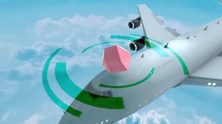 Donald Tong | Video Editor Showreel | 2016