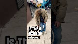 People On The Streets Of Kensington Ave Are All Disoriènted. This Looks Like A Test Lab Out Here.