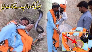 Jogi Was Bitten By A Snake | Fiaz Jogi new video Naag jogi