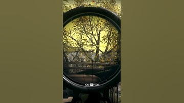 Sniped. Double Kill. Team Wipe.