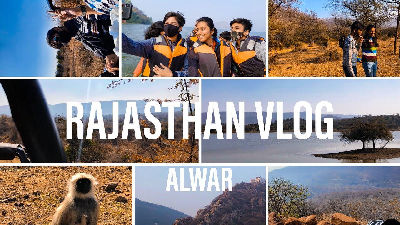 VLOG: ALWAR, RAJASTHAN | Safari Shenanigans