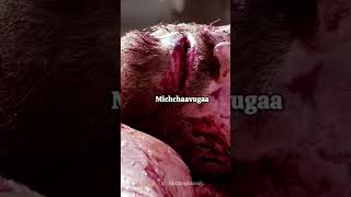 Jesus died for me you Jesus loves you #jesuslovesyou