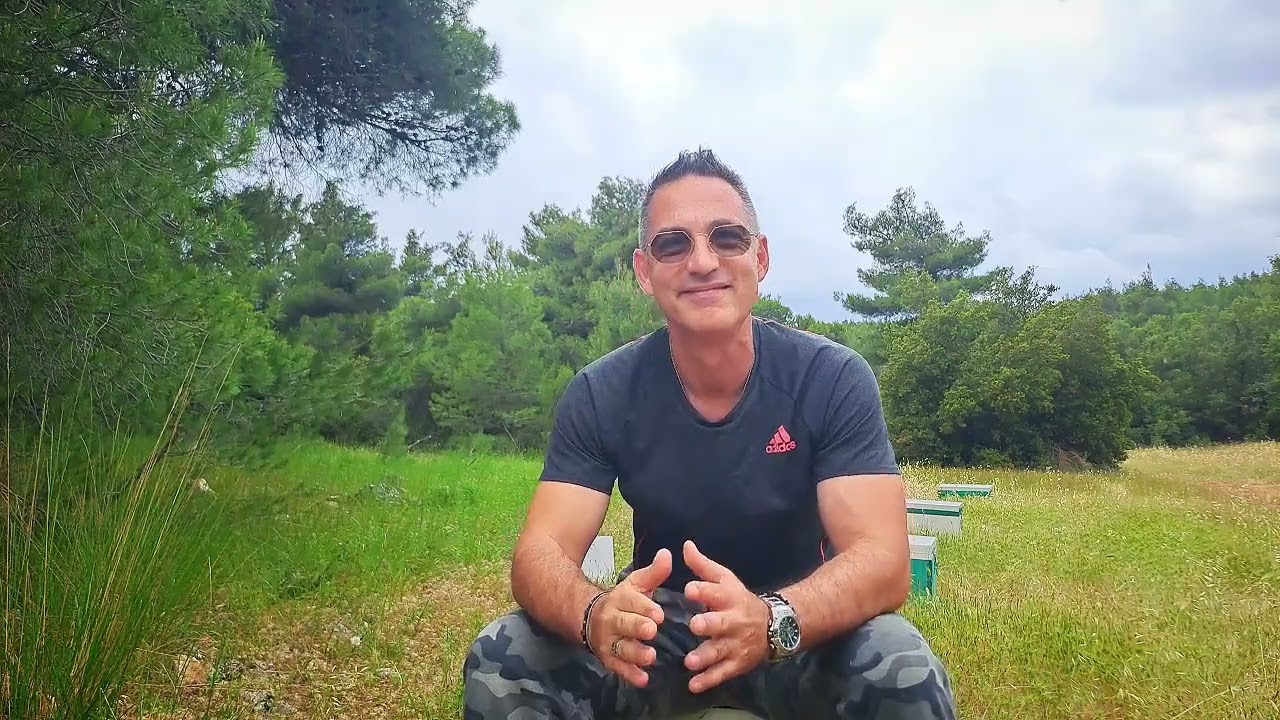 Το πολιτικό σύστημα των μελισσών χωρίς εκλογές