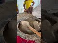 Bulk Making Haleem At Pista House, Hyderabad😱#viralvideo #streetfood #shorts #food #reels #foodinsta