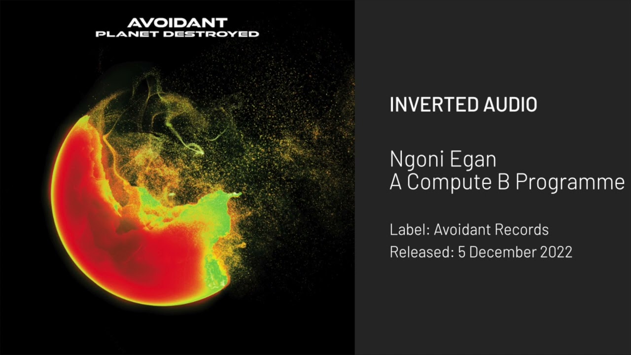 Ngoni Egan - A Compute B Programme [Avoidant Records]