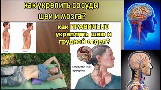 Жизнь головы и шеи зависит от атлантозатылочного сустава, но спазм закрепощает его. Упражнения
