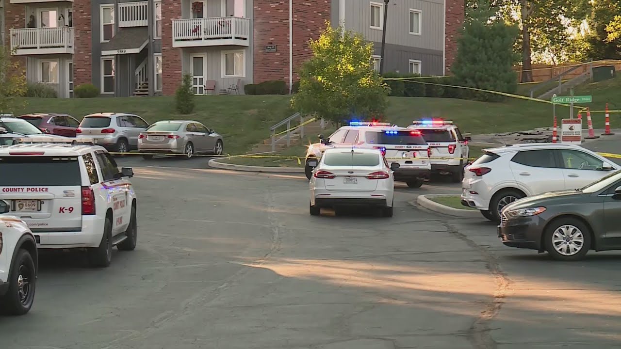 Police investigating deadly shooting at south St. Louis County ...