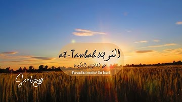 روح | آيه السكينه " سورة التوبه الآيه ٤٠ ، Soul | A sakina verse"40 " Surah at-Tawbah with words