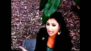 Mina Nawbary - Mehel Noor