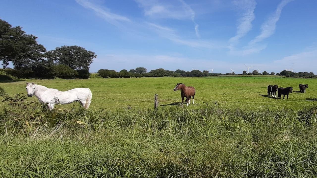 Tensbüttel-Röst - Unterwegs im echten Norden