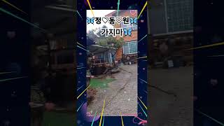 먹뱅이흙집 영상