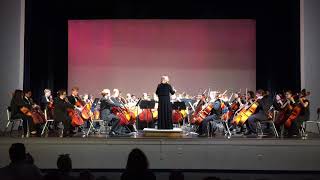 VCE 2019 No 7 The Waltzing Cat