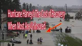 Hurricane Harvey’s The Cost of Recovery When Most Are Uninsured   - Daily News