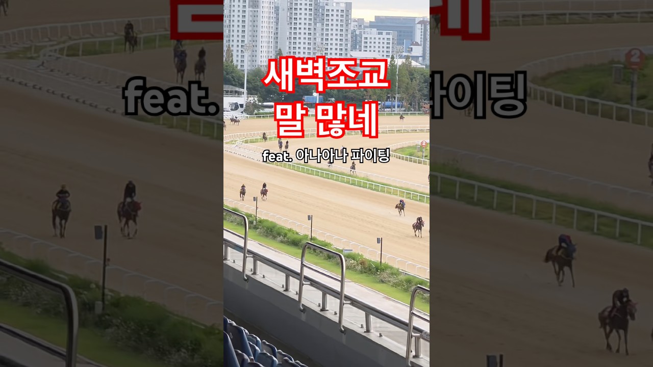 말이 쏟아져나오는 과천새벽조교장.. 아나아나파이팅🔥
