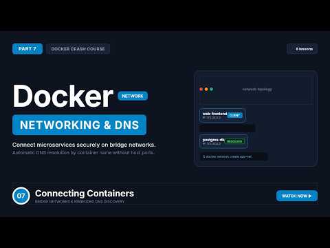 Connecting Containers with Docker Networks (Docker Crash Course #7)