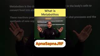 What Is Metabolites