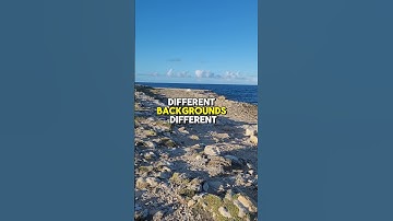 Unity is strength... when there is teamwork and collaboration, wonderful things can be achieved.