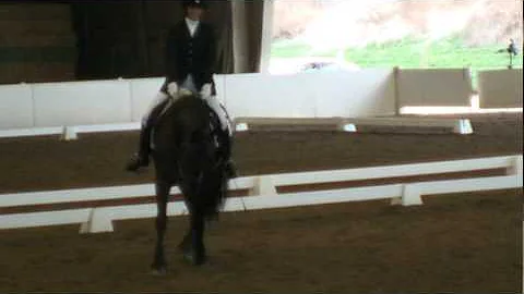 Jil and DeeAnne Gunnemann - Training Level Test 2 ...