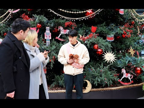 크리스마스 예쁜 도그캐슬 강아지들과 함께