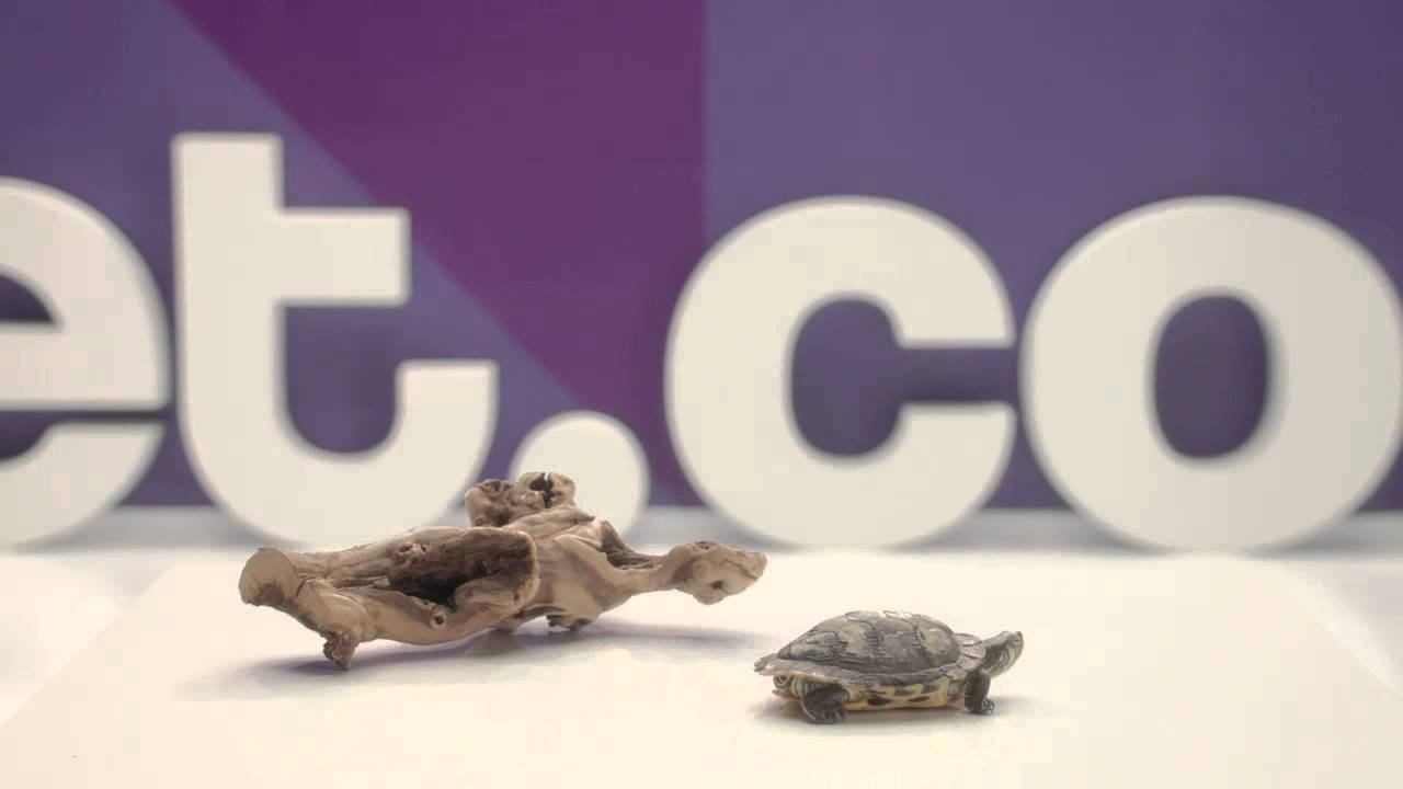 Jet.com: A wonderful evening