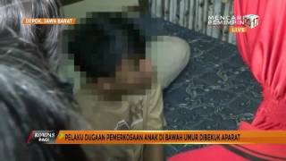 Polisi Bekuk Pemerkosa Anak di Bawah Umur