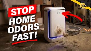 How to Make Your House Smell Good All the Time (Without Candles)