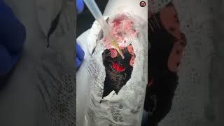 Download Lagu Stylish tattoo most designs piece for man arm models tattoo 👍👍👍 | Artist by @gabrielepellerone MP3