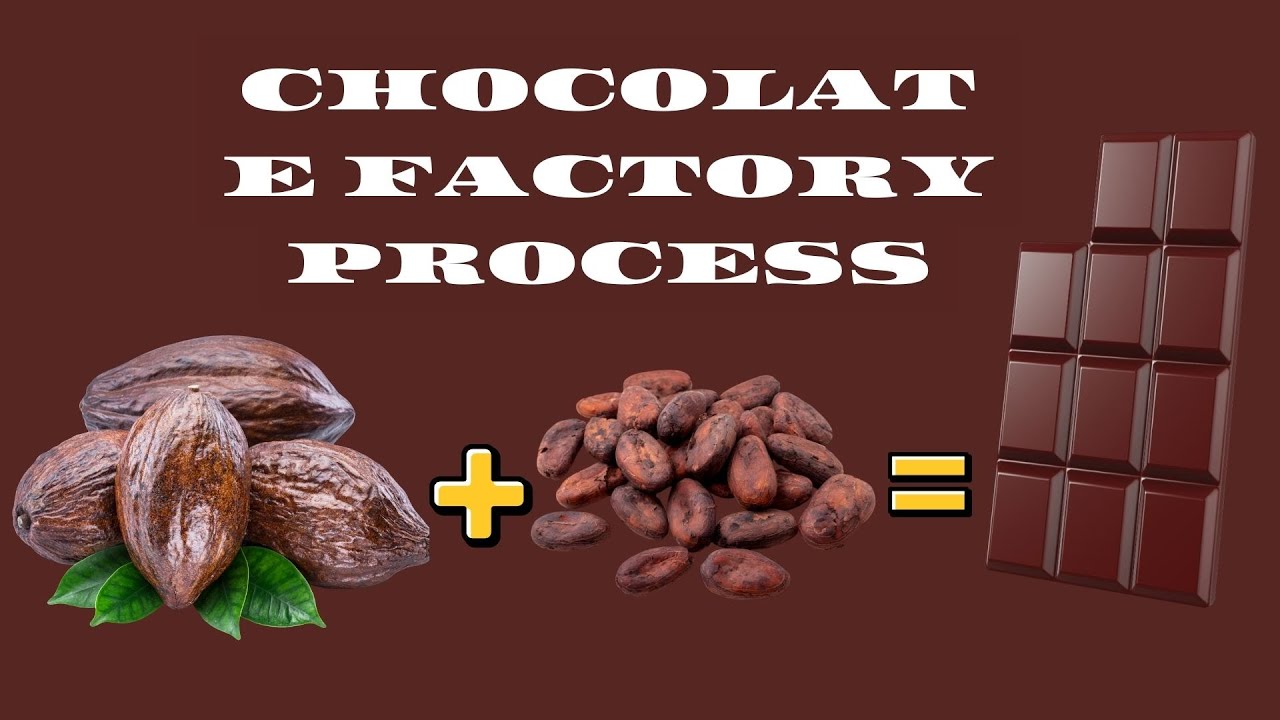 Expert Chocolatier Reveals TOP Chocolate Production Secrets