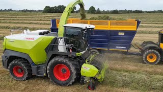 Jaguar 1200 - silage 2026 