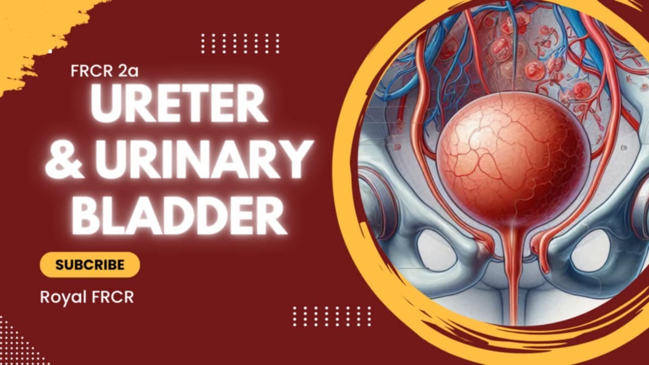 3 - GU, Obe, Gyn, Endocrine and Breast Imaging for FRCR