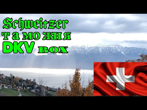 Поездка в Швейцарию. Как проехать таможню? Как настроить дкв бокс?