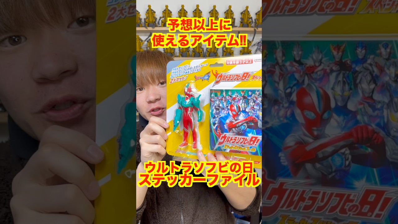 Ultra Soft Vinyl Day] Master the special sticker file! The items