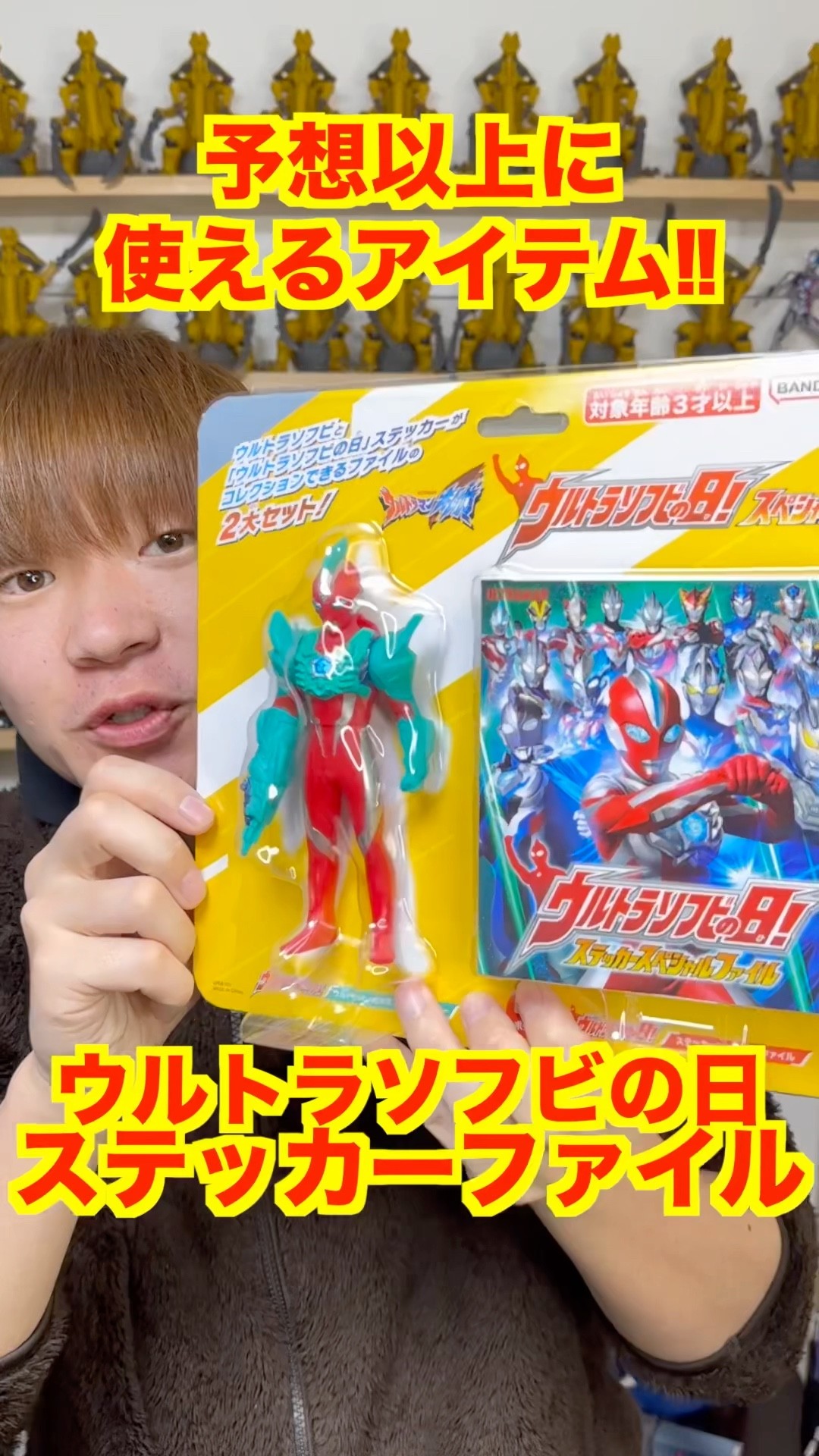 Ultra Soft Vinyl Day] Master the special sticker file! The items