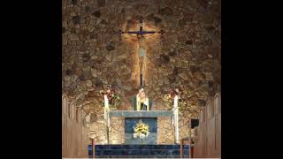 St. Francis of Assisi Belchertown Live Stream