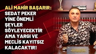 Başarır: Sedat Peker yine önemli şeyler söyleyecektir ama yargı ve Meclis kayıtsız kalacaktır!