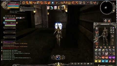 Shaiya ypsilon ( A droppare fortune coin :D )