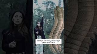 Dev Çiyanlar Neden Korkutucu Değil?