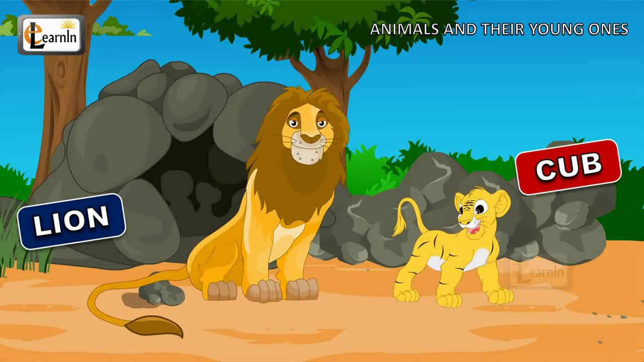 Animals and their Young Ones - YouTube