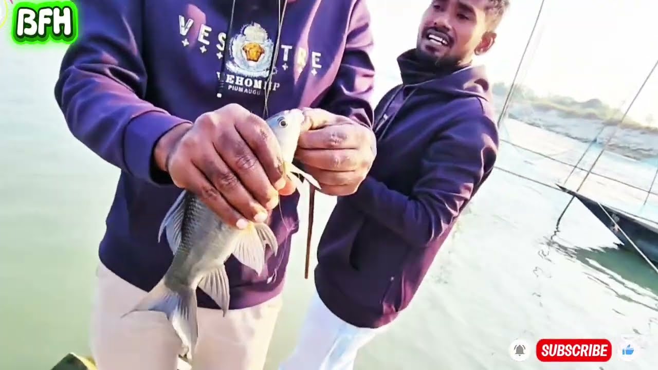 fishing 🐬 Amazing fishing moment ✅today @BanglaFishHunter #fishing#hookfishing#reel#fishing