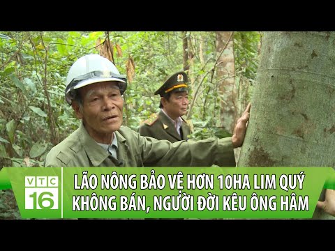 Video: Làm thế nào để đối phó với một đứa trẻ hư hỏng: 13 bước (có hình ảnh)