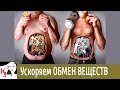 Ускоряем ОБМЕН ВЕЩЕСТВ, избавляемся от ЛИШНЕГО ВЕСА