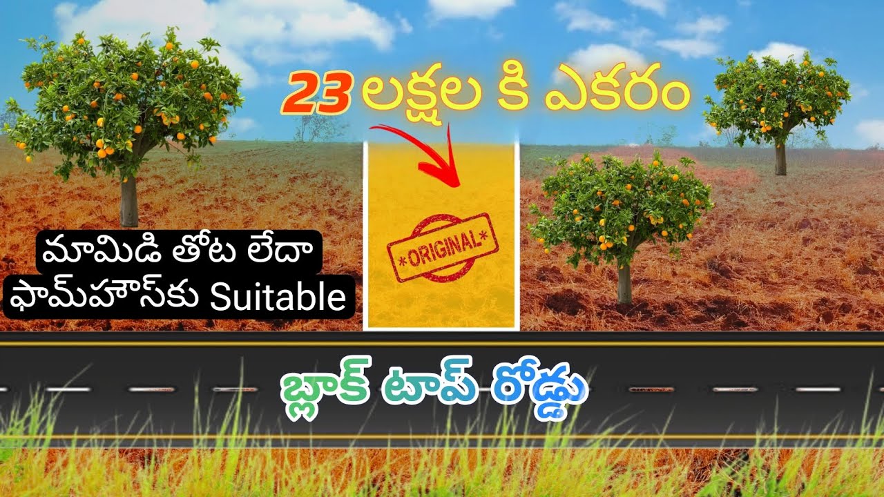 Only 23 Lakhs per Acre | Red Soil | Land for sale | #zaheerabad #kannada #realestate #farmhouse #gs